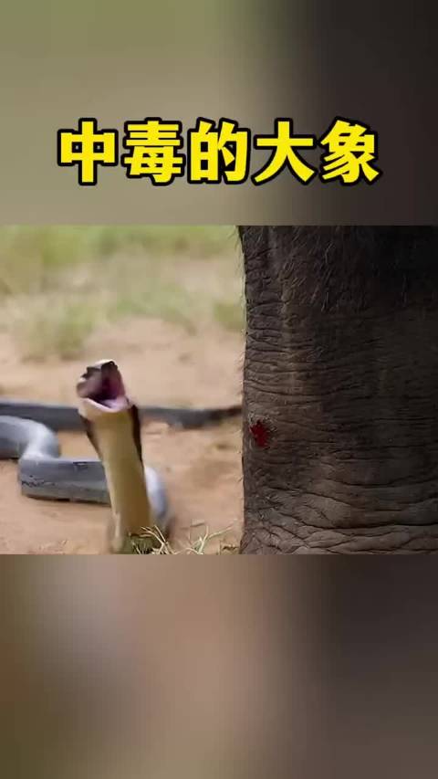 文班亚马8分40秒创NBA最快两双纪录 马刺豪取9连胜