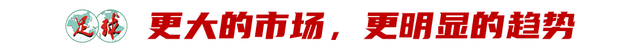 中甲联赛误判频发VAR推广呼声高涨